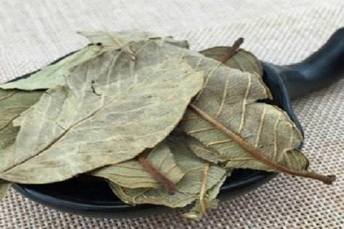 Uống nước lá ổi khô có tác dụng gì?