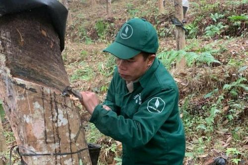 'Cây sáng kiến' nâng cao chất lượng cuộc sống người lao động