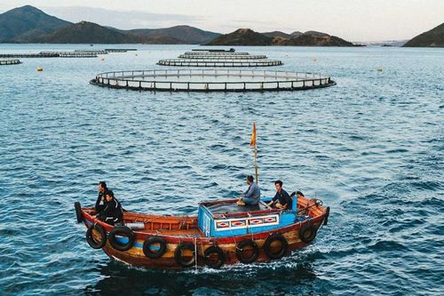 Sản xuất bền vững, bảo tồn nguồn lợi biển