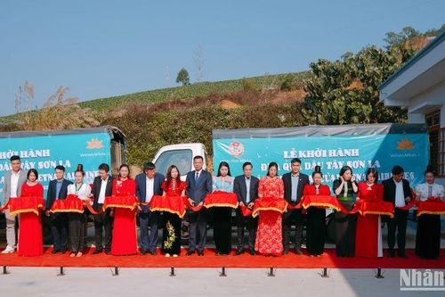 Đưa đặc sản dâu tây Sơn La lên các chuyến bay của Vietnam Airlines