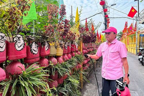 Những tuyến đường hoa ở quận Phú Nhuận