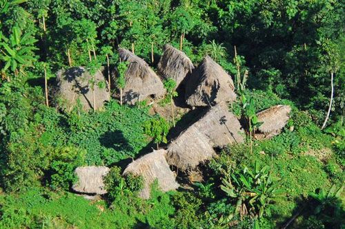 Bộ tộc bí ẩn sống tách biệt với thế giới hiện đại ở Brazil
