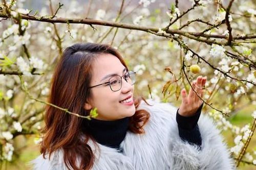 Fanpage 'ma' giăng bẫy du khách