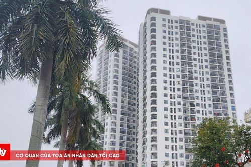 Chủ đầu tư Chung cư Tecco Center Point bị xử phạt 538 triệu đồng