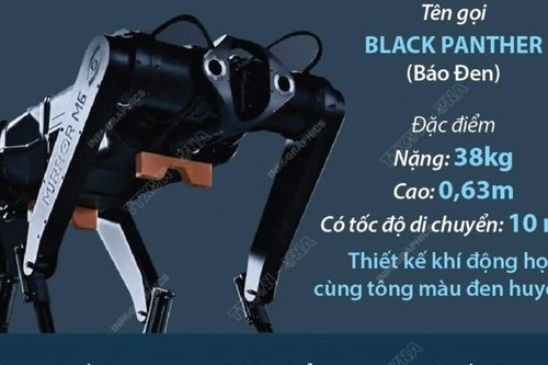 Black Panther - Robot 4 chân nhanh nhất thế giới