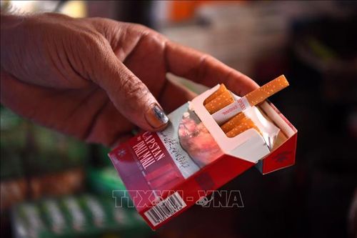 Nghiên cứu mới mở ra hướng phòng ngừa ung thư cho người hút thuốc