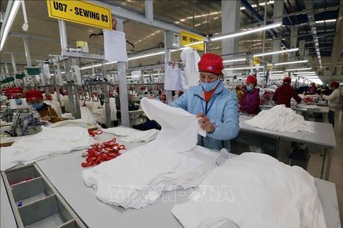 Đơn hàng tăng trở lại, doanh nghiệp dệt may lo thiếu lao động