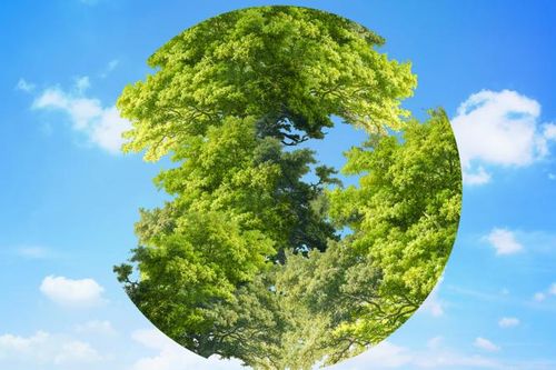 Bí quyết đạt chuẩn báo cáo ESG cho doanh nghiệp Việt