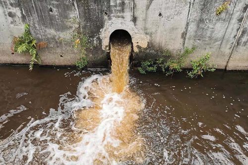 Thanh Hóa phạt nặng hai doanh nghiệp vi phạm môi trường