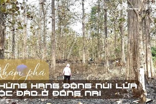 Khám phá những hang động núi lửa độc đáo ở Đồng Nai