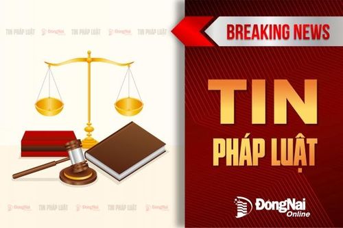 Xác minh vụ một học sinh lớp 12 bị đánh khi đi đường ở Long Khánh