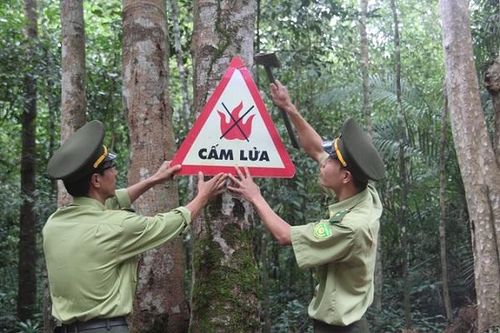 Huyện Vĩnh Cửu chủ động phòng, chống cháy rừng mùa khô