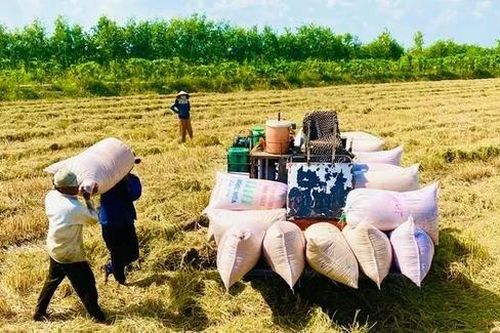 Cơ hội trong 'cuộc chơi' mới