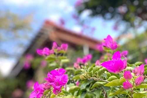 Thơ Lê Thị Kim Sơn: Đa mang ánh chiều