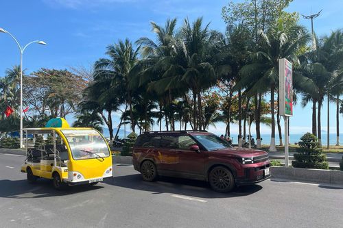 Tại TP. Nha Trang: Chấm dứt hoạt động của xe ô tô điện