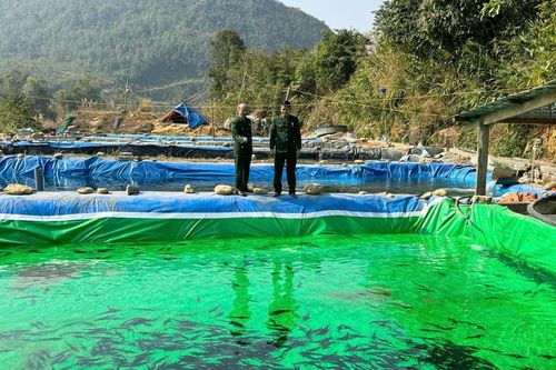 'Điểm tựa' tin cậy của hội viên