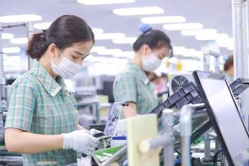 50% doanh nghiệp FDI báo lỗ, Bộ Tài chính muốn thanh tra