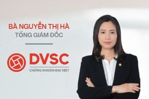 Chứng khoán Đại Việt (DVSC): Nữ CEO từ nhiệm sau hơn 2 tháng nhậm chức