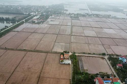 Nam Định xin Thủ tướng tháo gỡ vướng mắc ở hai dự án trọng điểm