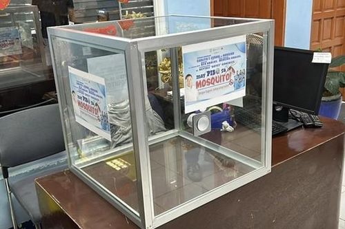 Đổi muỗi lấy tiền: Một quận ở Philippines thưởng tiền cho người bắt được muỗi