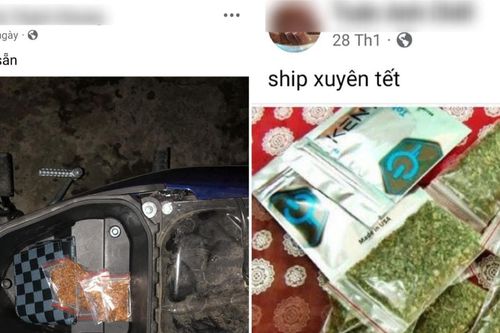 Thanh Hóa: Khởi tố 2 học sinh liên quan đến 'cỏ Mỹ'