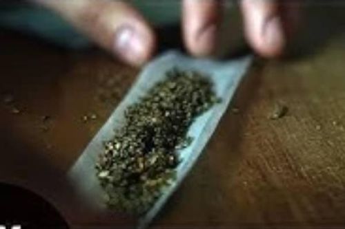 Hai học sinh ở Thanh Hóa bị khởi tố vì mua bán, sử dụng 'cỏ Mỹ'