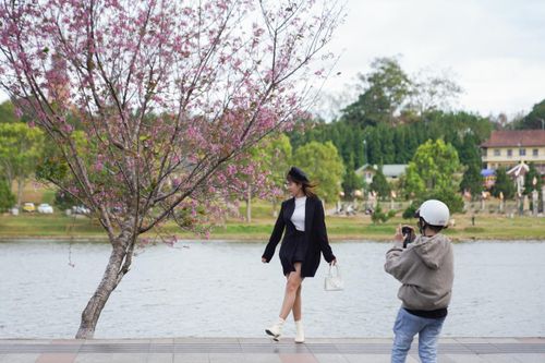 Đà Lạt kêu gọi không mua hàng rong cạnh hồ Xuân Hương
