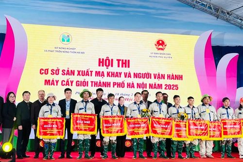 Hà Nội: Bứt phá ngoạn mục trong ứng dụng mạ khay, cấy máy