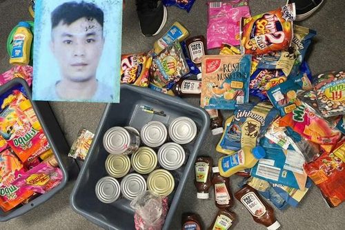 Triệt phá đường dây vận chuyển ma túy qua đường hàng không về Việt Nam