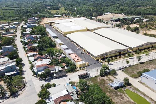 Quảng Nam chấp thuận chủ trương đầu tư dự án Nhà máy chế biến lâm sản