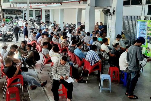 Đổ xô làm thủ tục cấp đổi giấy phép lái xe