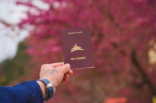 Giới trẻ đua nhau lên Hà Giang 'săn dấu mộc'