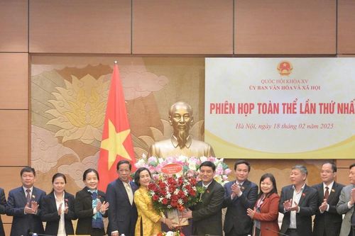 Hợp nhất Ủy ban Văn hóa, Giáo dục và Ủy ban Xã hội của Quốc hội