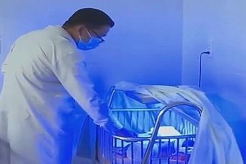 Đề cử Giải thưởng Gương mặt trẻ Việt Nam tiêu biểu 2024: Tạ Hồng Xuân