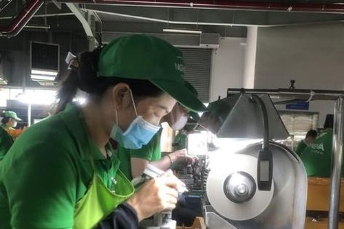 Doanh nghiệp xuất khẩu ứng biến