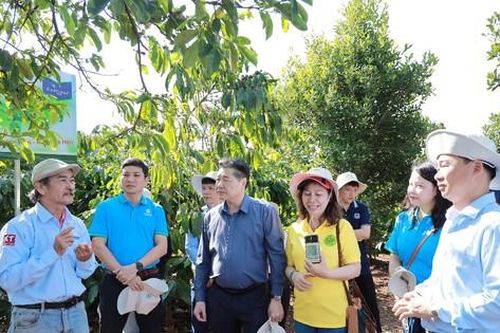 Bayer đồng hành cùng nông dân Tây Nguyên chuyển đổi sang nông nghiệp bền vững