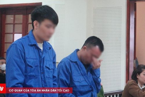 Em vợ rủ anh rể vận chuyển ma túy