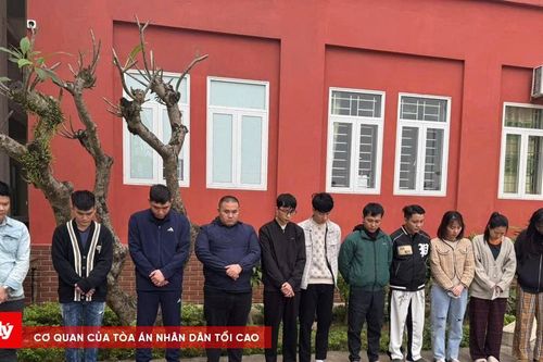 Triệt phá tổ chức tội phạm xuyên biên giới, bắt giữ 15 đối tượng