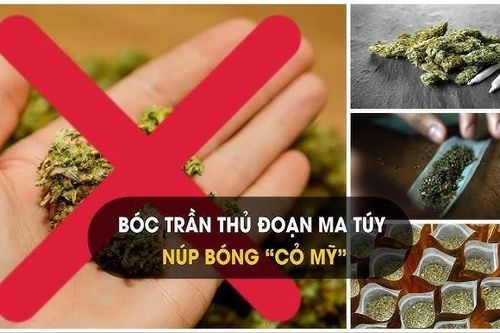 2 học sinh ở Thanh Hóa bị khởi tố vì mua bán, sử dụng 'cỏ Mỹ'