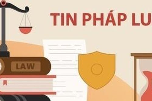 Tin nhắn gửi nhầm và cuộc loạn đả bằng dao, khiến 4 người dính án