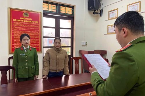 Khởi tố người phụ nữ trong vụ mua bán, vận chuyển 19,8kg ngà voi ở Cao Bằng