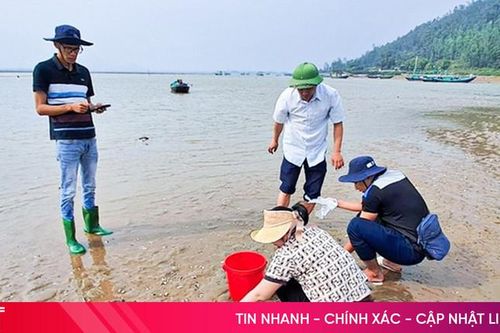 Ngành chuyên môn Hà Tĩnh cảnh báo nguy cơ hàu, ngao chết hàng loạt