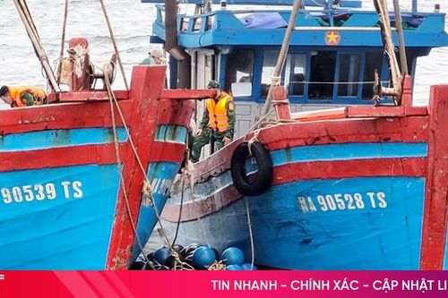 Bắt giữ 2 tàu giã cào khai thác hải sản trái phép