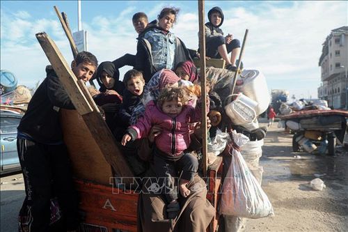 Ai Cập kiên quyết phản đối di dời người Palestine khỏi Gaza