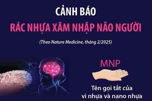Cảnh báo rác nhựa xâm nhập não người