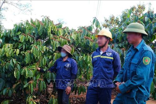 Cần đảm bảo hài hòa quyền lợi người lao động khi thu bảo hiểm xã hội bằng cà phê