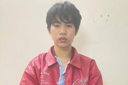 Bắt đối tượng lợi dụng cơn 'sốt' Baby Three để lừa đảo