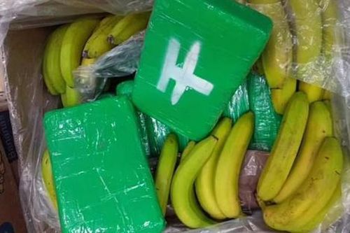 Nhân viên tá hỏa khi phát hiện 'vị khách không mời' trong thùng chuối ở cửa hàng