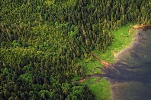 Canadian Wood Việt Nam hợp tác, thúc đẩy phát triển bền vững ngành gỗ và nội thất Việt Nam