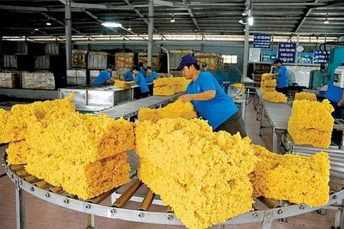 Xuất khẩu cao su giảm mạnh tháng đầu năm 2025